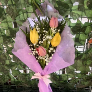 RAMO TULIPAN