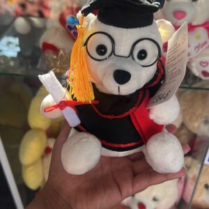 PELUCHE GRADUACION