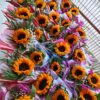 Girasol empresa