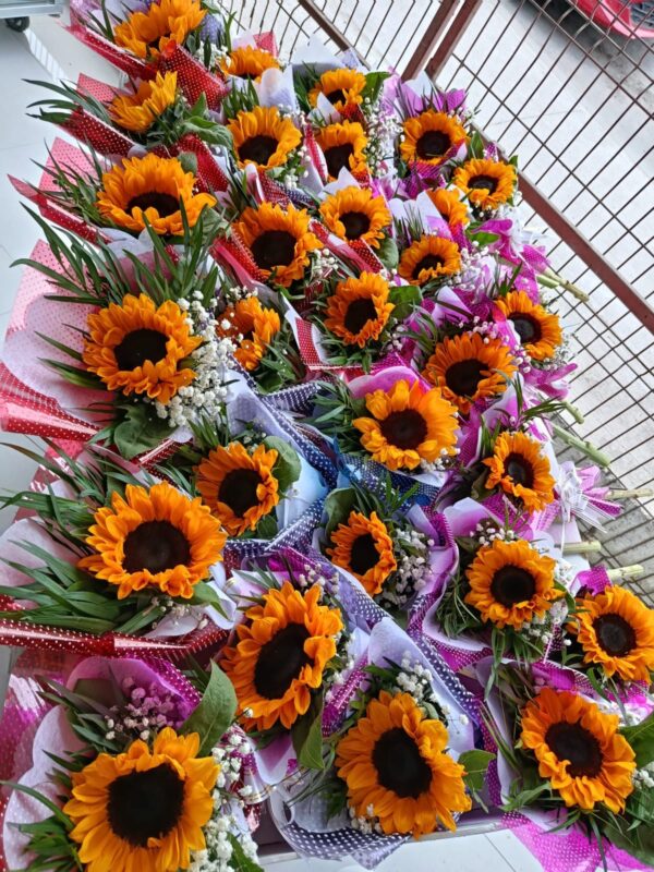 Girasol empresa